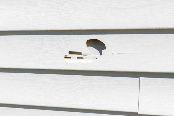 Capitola, CA Siding Installation & Repair Company